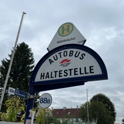 Grundstück! Für Eigenheim oder auch für Bauträger bei der Lobau . 1220 Wien, Nähe Ultzmanngasse beim Großenzersdorfer Arm - Bild 3