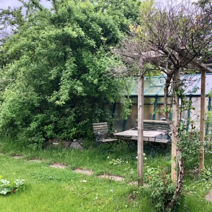 Grundstück für Eigenheim oder auch für Bauträger bei der Lobau . 1220 Wien, Nähe Ultzmanngasse beim Großenzersdorfer Arm - Bild 3