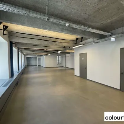 Herrliches Loft - Bild 2