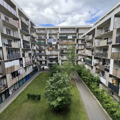 Citynah & naturnah – hochwertiges Wohnen im Brauquartier Graz- "Ab 1.1." - Bild 2