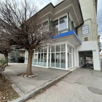 Projektliegenschaft in Wiener Neustadt – Zinshaus mit Altbau-Charme & großem Neubaupotenzial - Bild 2