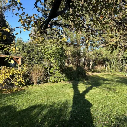 Zukunftsprojekt im Zehnerviertel – Bungalow mit Potenzial auf 1.032 m² Grund - Bild 3