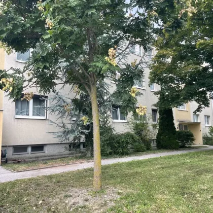 Wohnung (3 Zimmer) in Gumpoldskirchen mit sanierter Loggia in guter Lage - Bild 2