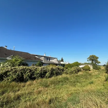 Sanierungsbedürftiges Einfamilienhaus mit über 3.000 m2 Eigengrund - Nähe Ebreichsdorf - Bild 3