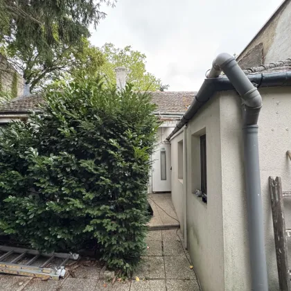 HIETZING - GRUNDSTÜCK MIT ALTBESTAND NAHE S-BAHN SPEISING - Bild 3