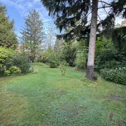 HIETZING - GRUNDSTÜCK MIT ALTBESTAND NAHE S-BAHN SPEISING - Bild 2