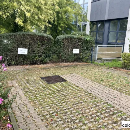 Großzügige Lagerfläche mit direkter Ladezone in Flughafennähe - Bild 2