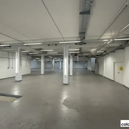 Großzügige Lagerfläche mit direkter Ladezone in Flughafennähe - Bild 3