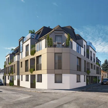 BLOOM! EIN NEUES PROJEKT IN STAMMERSDORF ! - Bild 2