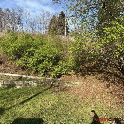 Baugrundstück für Einfamilienhaus / Doppelhäuser / Wohnanlage / gewerbliche Nutzung in Purkersdorf - Bild 3