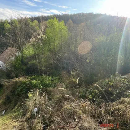 Baugrundstück mit Panoramablick in Grünruhelage - Bild 3