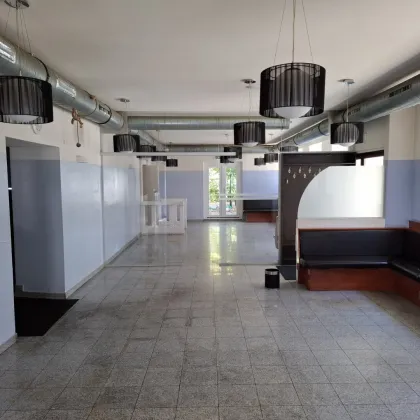 GASTRONOMIEFLÄCHE MIT SCHÖNEM GARTEN IN GÄNSERNDORF NÄHE BAHNHOF GASTROTEL IMMOBILIEN - Bild 2