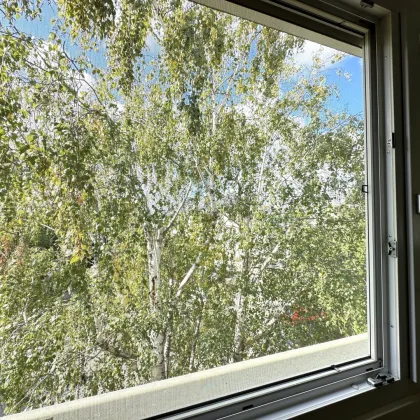 Helle 2-Zimmer-Wohnung im Zentrum von Maria Lanzendorf - Bild 2