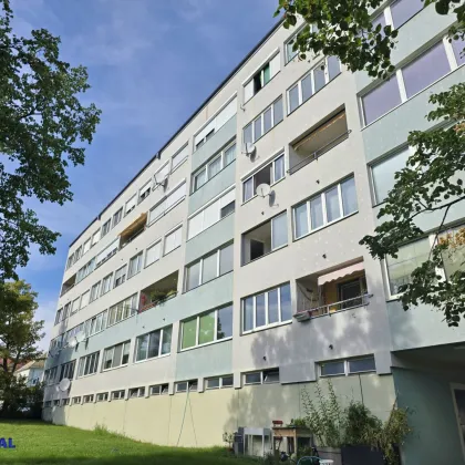 4 Zimmer – Loggia - Maisonette - Bild 2