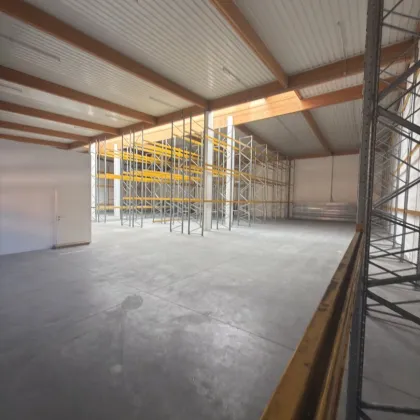 889 M² LAGERHALLE MIT MODERNEM KLIMABÜRO IN 1230 WIEN (TALPAGASSE 6, HALLE 7) – TOP LAGE BEI DER U6 & AUTOBAHN! - Bild 3