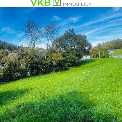 Naturnahe Grünlage – Baugrundstück mit Wohlfühlfaktor in Eidenberg - Bild 3