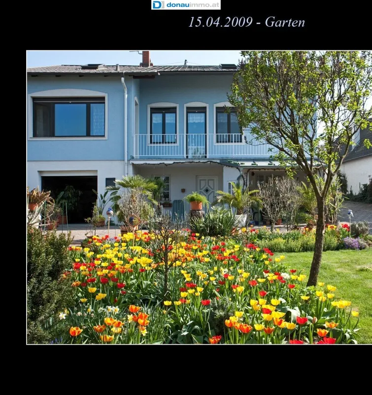 Charmantes Einfamilienhaus in ruhiger Lage - Bild 1
