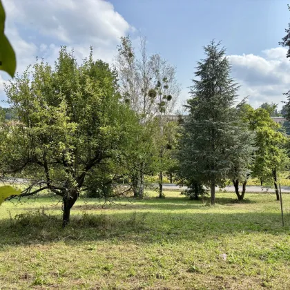 Sonniger Bauplatz in Bad Gleichenberg – perfekt für Ihr Traumhaus - Bild 2