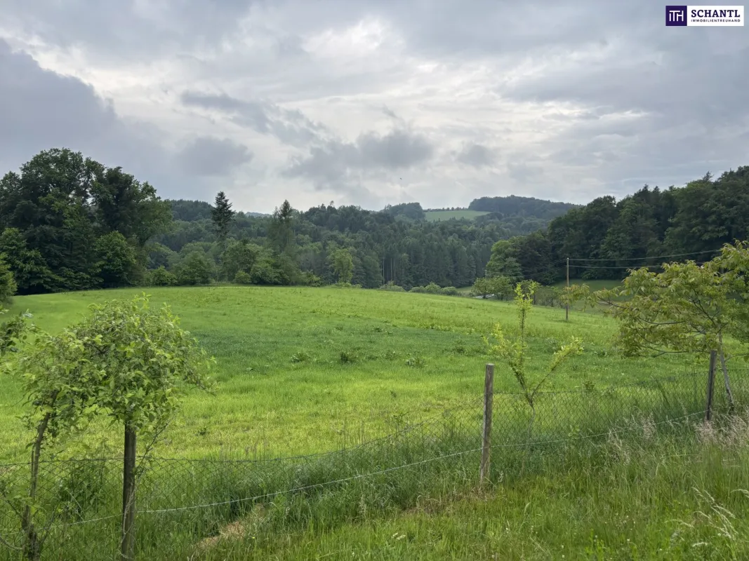 ++ SELTENE GELEGENHEIT ++ GENIAL für PFERDEHALTUNG ++ BAUERNHOF mit ca. 7 HA Landwirtschaftlicher Fläche und Wald++ NEBENGEBÄUDE++ NÄHE GRAZ++ - Bild 1