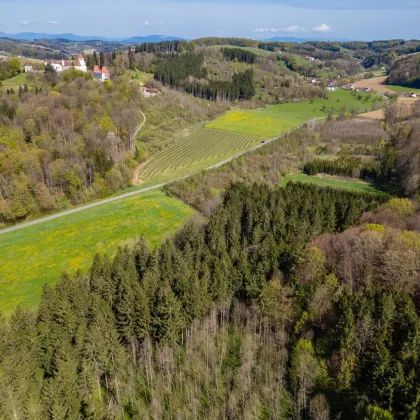 Schlosscamping Kornberg – Mach es zu deinem Projekt - Bild 3