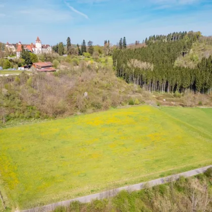 Nähe Feldbach - Grundstück mit Sonderwidmung Reitsport - Bild 2
