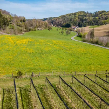 Nähe Feldbach - Grundstück mit Sonderwidmung Reitsport - Bild 3