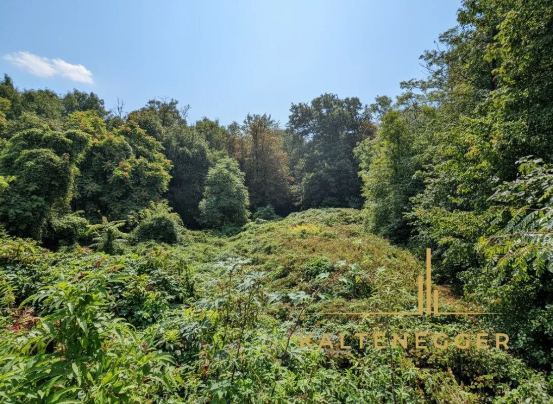 Einzigartiges Grundstück mit wunderschöner Naturverbundenheit in Pöttsching - Bild 1
