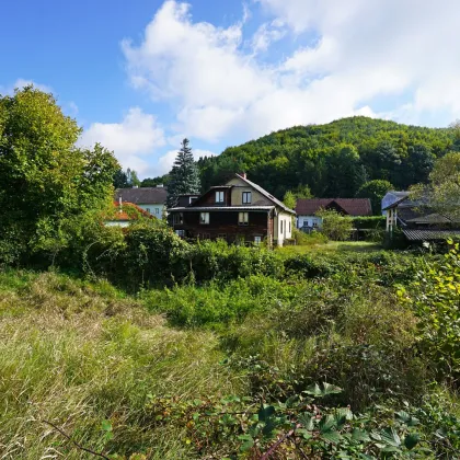 Tolles ebenes Baugrundstück - ideal für Ihr Einfamilien- oder Doppelhausprojekt im Wienerwald - Bild 3