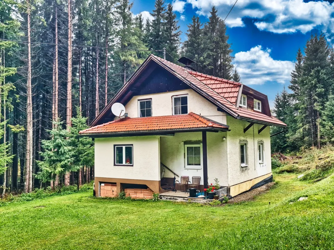 Teilsaniertes Wohnhaus am Waldesrand am Fuße der Nockberge - Bild 1