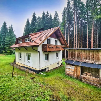 Teilsaniertes Wohnhaus am Waldesrand am Fuße der Nockberge - Bild 2