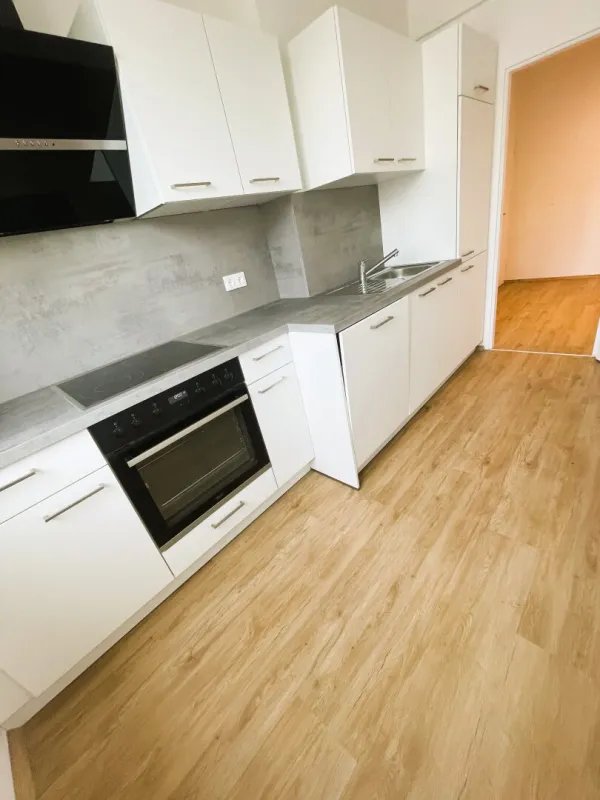 3-Zimmer-Wohnung Nähe Untere Donaulände - Bild 1