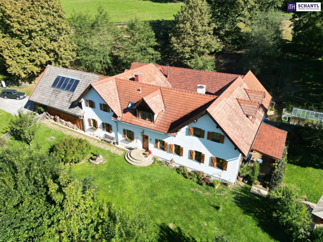 Exklusiver Vierkanthof im Thermenland Steiermark – Wohnen, Reiten & Leben mit Pool und Alpakas! - Bild 1