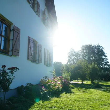 Exklusiver Vierkanthof im Thermenland Steiermark – Wohnen, Reiten & Leben mit Pool und Alpakas! - Bild 3