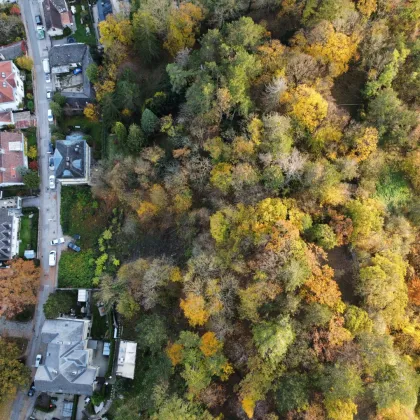 NATURLIEBHABER! Großer Baugrund in außergewöhnlicher Villen-Waldrandage am Rande des Lainzer Tiergartens! Naturschutzgebiet - Bild 3