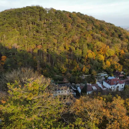 NATURLIEBHABER! Großer Baugrund in außergewöhnlicher Villen-Waldrandage am Rande des Lainzer Tiergartens! Naturschutzgebiet - Bild 2