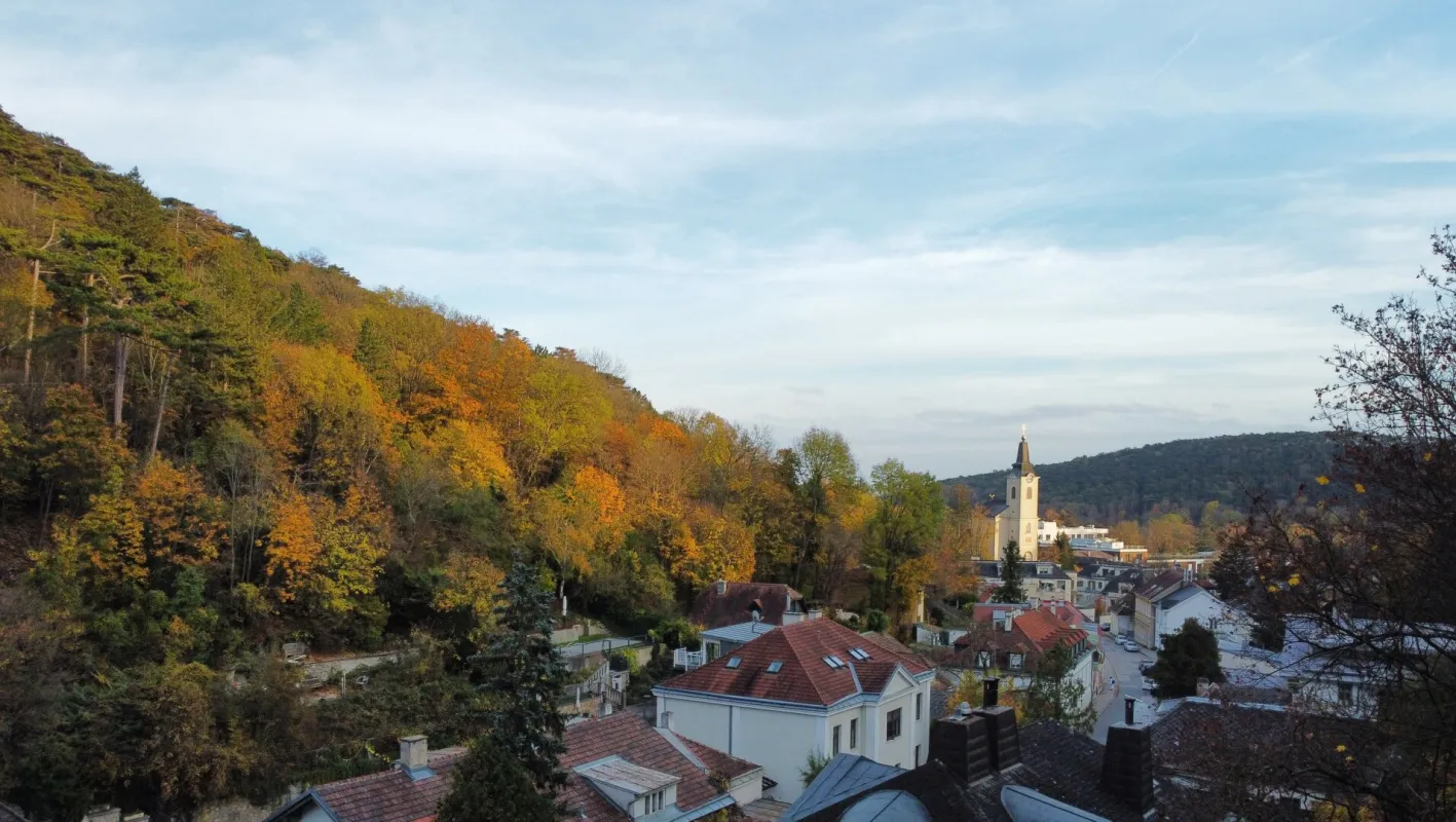 NATURLIEBHABER! Großer Baugrund in außergewöhnlicher Villen-Waldrandage am Rande des Lainzer Tiergartens! Naturschutzgebiet - Bild 1