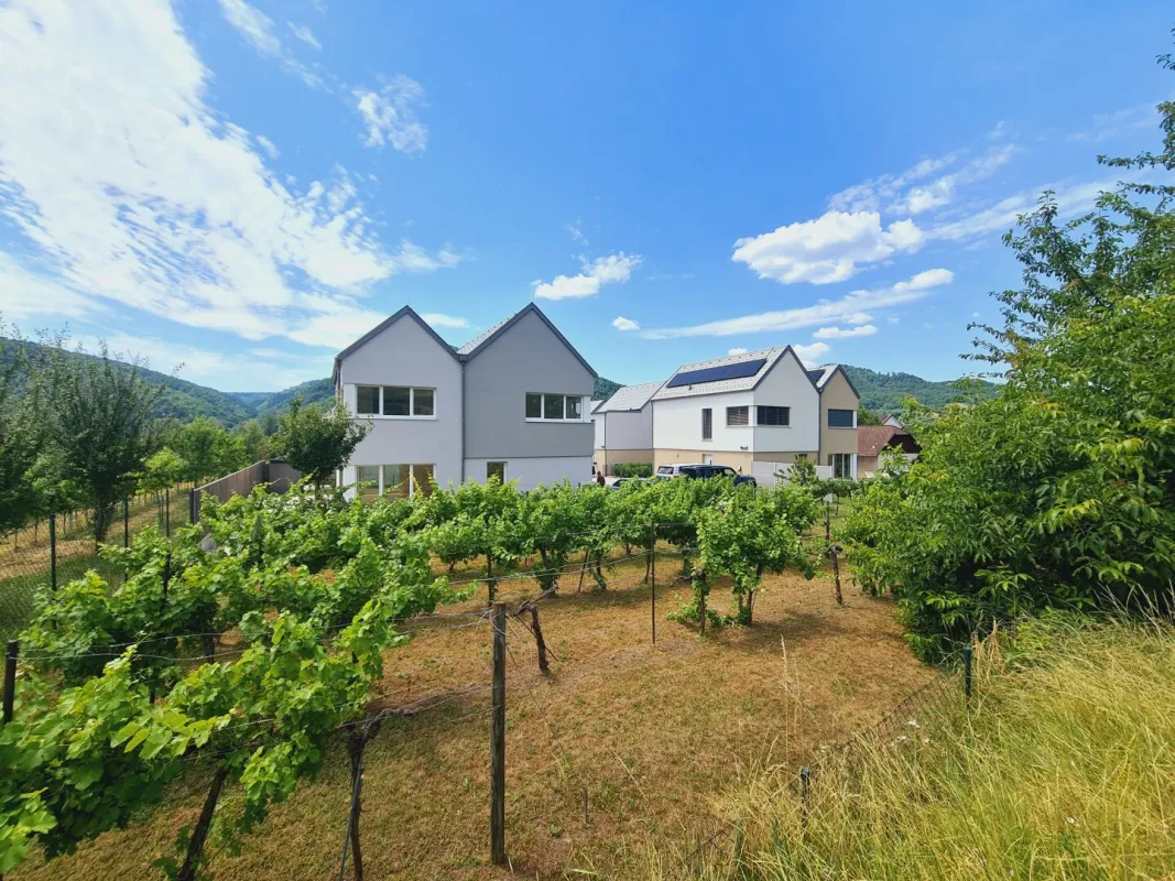 Traumhaus-Erstbezug in Dürnstein mit Weingarten - Bild 1