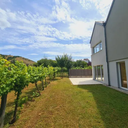 Traumhaus-Erstbezug in Dürnstein mit Weingarten - Bild 2