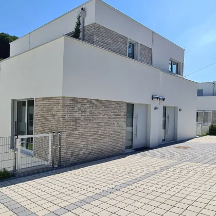 Neubau Erstbezug | Holzmassiv | Living Woods - Bild 2