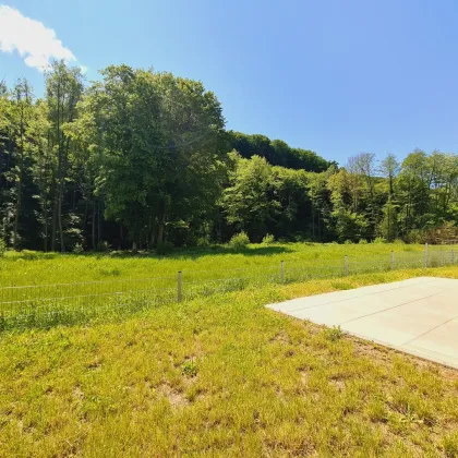 Neubau Erstbezug | Holzmassiv | Living Woods - Bild 2