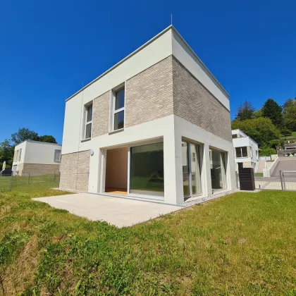 Neubau Erstbezug | Holzmassiv | Living Woods - Bild 3