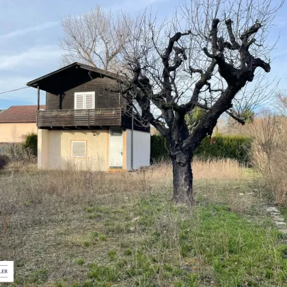 Ihr Zuhause beginnt hier – ein Ort zum Wohlfühlen und Ankommen - Bild 2