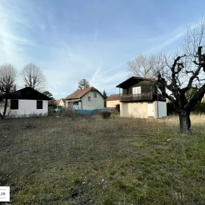 Investition in Zukunft, Familie und Lebensqualität - Ihr neues Zuhause - Bild 3