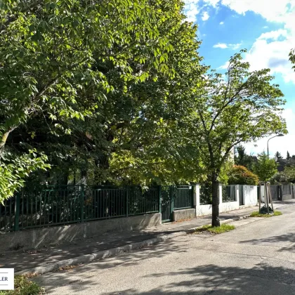 Investition in Zukunft, Familie und Lebensqualität - Ihr neues Zuhause - Bild 2