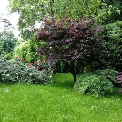 Familienfreundliches Wohnen in Liesing - großzügige Doppelhaushälfte mit Garten und Terrasse - Bild 2