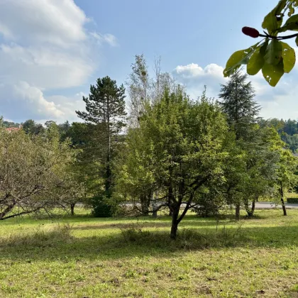 Attraktives Baugrundstück in Bad Gleichenberg – 2.163 m² für Ihr Traumhaus - Bild 3