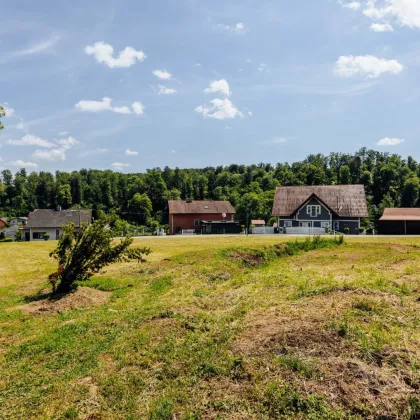 Bauland mit Aussicht: Ihr Platz in Ehrenhausen an der Weinstraße! - Bild 3