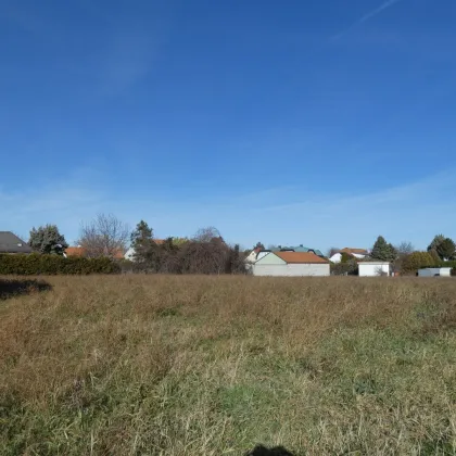 TOP BAUGRUND IN SEENÄHE RUHELAGE - Bild 2