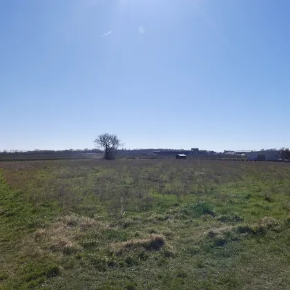 GROSSER BAUGRUND AM RANDE SCHÖNER NATUR - Bild 2