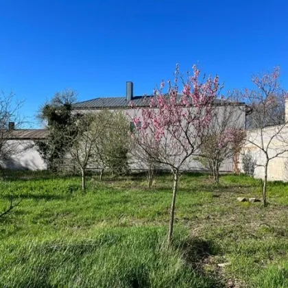 TOP BAUGRUND IN RUHIGER LAGE ZENTRUMSNAH - Bild 3